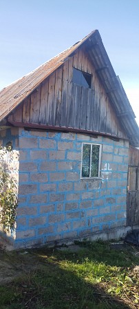 Продаю сад "Северный-2" - изображение 1