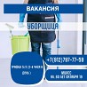 Сервисный центр "Миасс-Автомагистраль"